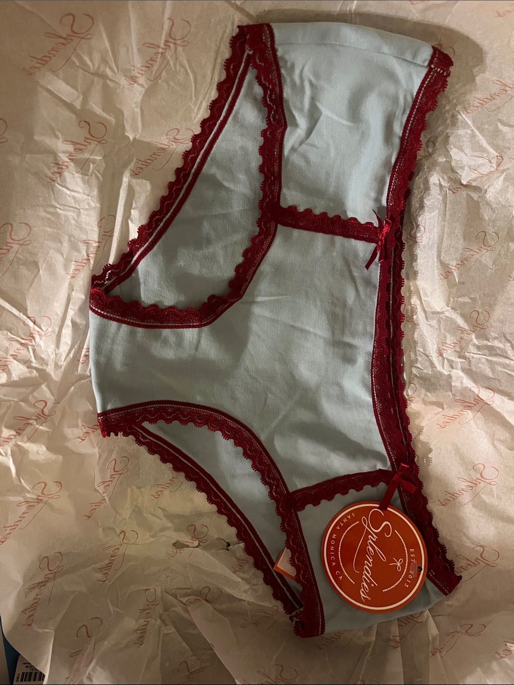 Splendid White Briefs with Red Lace Trim